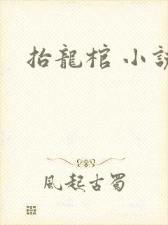 抬龙棺 小说