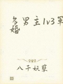 多男主1v3军婚