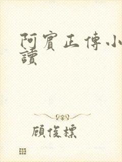 阿宾正传小说在读