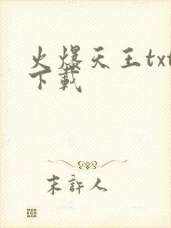 火爆天王txt下载