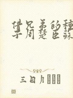 借兄弟的种生孩子周楚臣苏糖