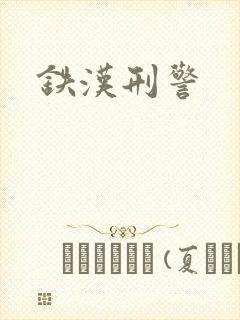 铁汉刑警