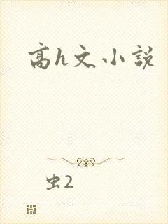 高h文小说