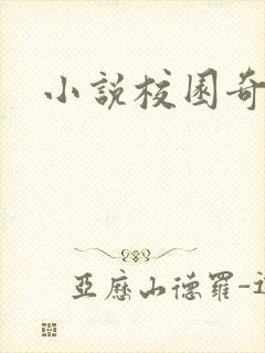 小说校园奇侠
