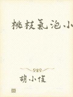 桃枝气泡小说封面