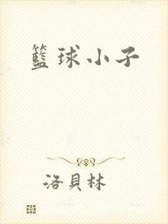 篮球小子