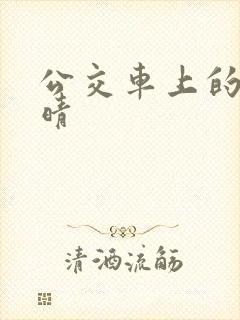 公交车上的诗请晴封面