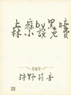 上瘾by黑暗森林小说免费