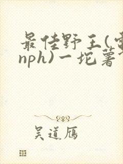 最佳野王(电竞nph)一坨薯饼