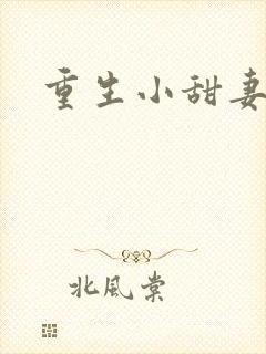 重生小甜妻