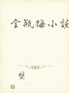金瓶梅小说下载