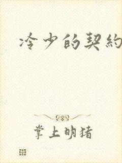 冷少的契约囚奴