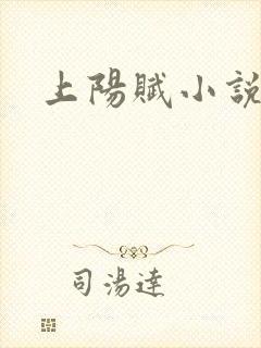 上阳赋小说封面