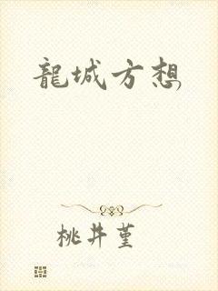 龙城方想封面