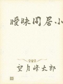 暧昧同居小说