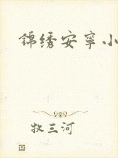 锦绣安宁小说