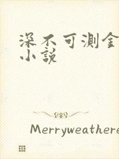 深不可测金银花小说