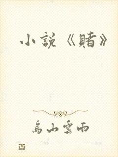 小说《赌》封面