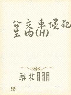 公交车侵犯小男生肉(H)