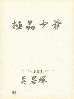 极品少爷
