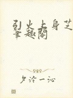 引火上身芝麻糖笔趣阁