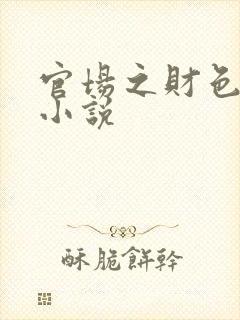官场之财色诱人小说封面