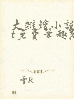大杂烩小说txt免费笔趣阁封面