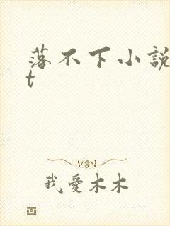 落不下小说txt