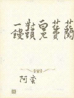 一对白花花的大馒头免费阅读