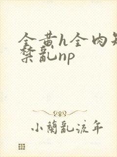 全黄h全肉短篇禁乱np