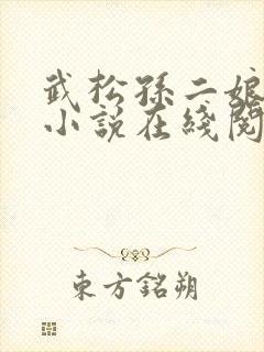 武松孙二娘云雨小说在线阅读封面