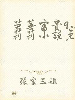 荣华富贵9小王莉莉小说免费阅读封面