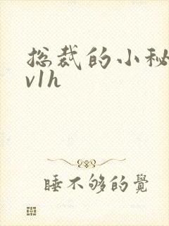 总裁的小秘书1v1h