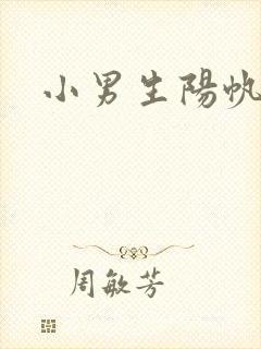 小男生阳帆封面