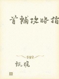 首辅攻略指南