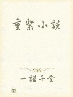 重紫小说