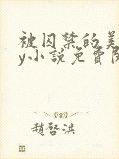 被囚禁的美人by小说免费阅读