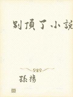 别顶了小说