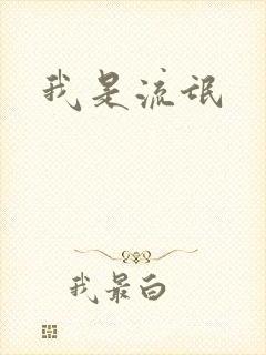 我是流氓封面