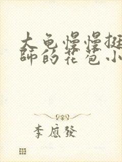 大龟慢慢挺进老师的花苞小说封面