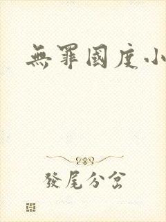 无罪国度小说封面