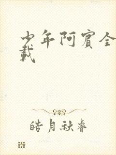 少年阿宾全集下载