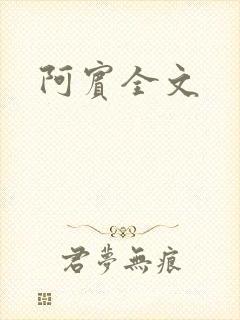 阿宾全文封面