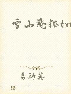 雪山飞狐txt