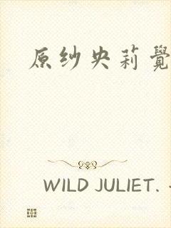 原纱央莉觉醒封面