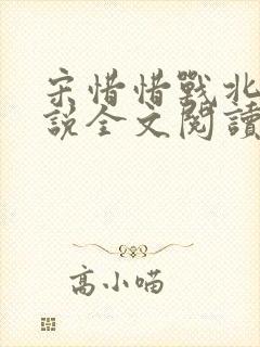 宋惜惜战北望小说全文阅读封面