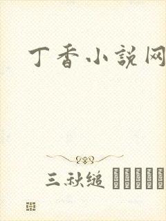 丁香小说网封面