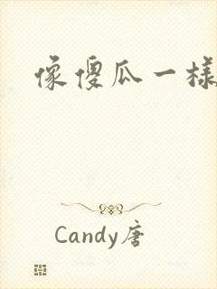 像傻瓜一样去爱
