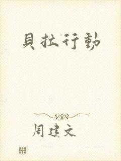 贝拉行动封面
