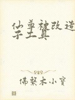 仙尊被改造成产子工具